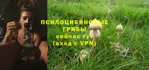 спиды Белоозёрский