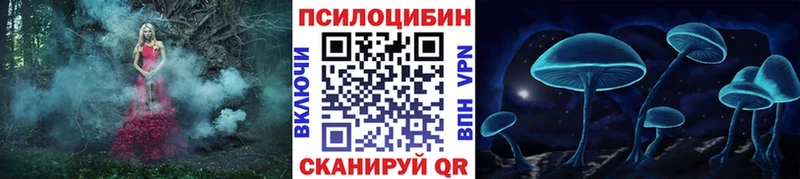 Псилоцибиновые грибы Cubensis  что такое   Мезень 